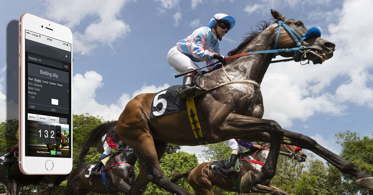 Tax on horse racing betting sites zeenigami garp investing